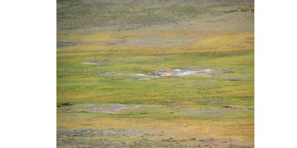 Photograph of the contemporary wetland environment at Mafadi. The white stripe on the landscape is the diatomite outcrop which was cored for this study. Photograph provided by Jennifer Fitchett